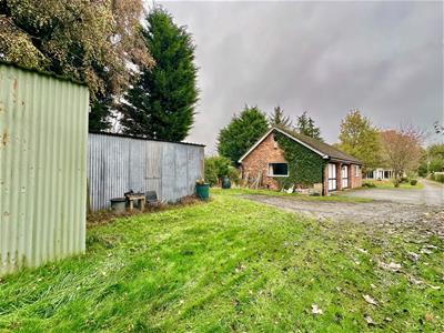 Picture 20